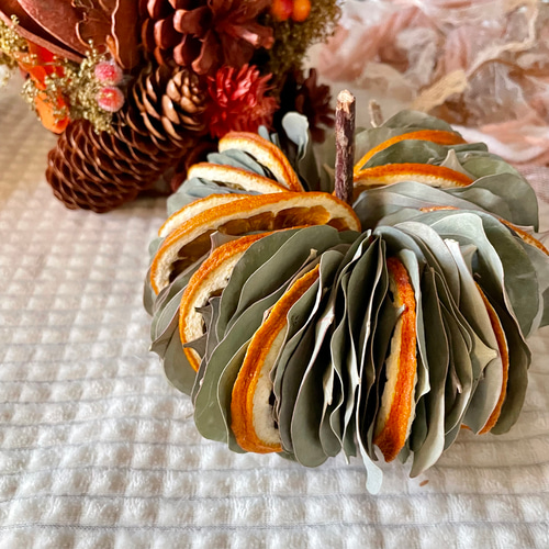 ユーカリポポラスの2wayミルフィーユリース(カボチャ) オレンジ L