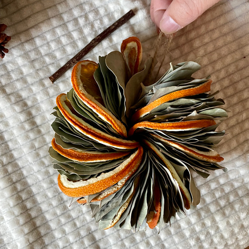 ユーカリポポラスの2wayミルフィーユリース(カボチャ) オレンジ L