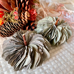 ユーカリポポラスの2wayミルフィーユリース (カボチャ) Mサイズ2点 