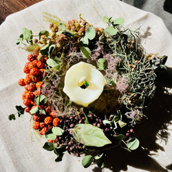 ユーカリポポラスとミモザのミルフィーユガーランド ドライフラワー