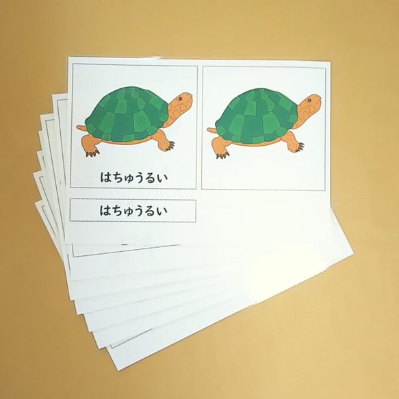 爬虫類の部分名称の絵カード★モンテッソーリの文化教育 2枚目の画像