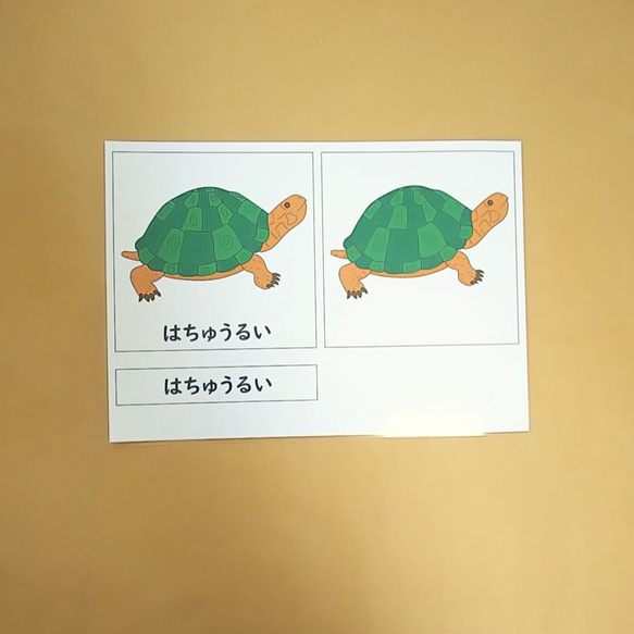爬虫類の部分名称の絵カード★モンテッソーリの文化教育 3枚目の画像