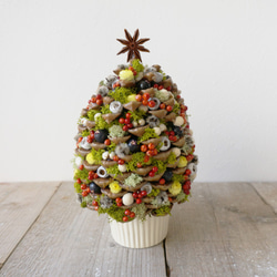 売却済】大きな 松ぼっくり の クリスマス ツリー （アイスランドモス