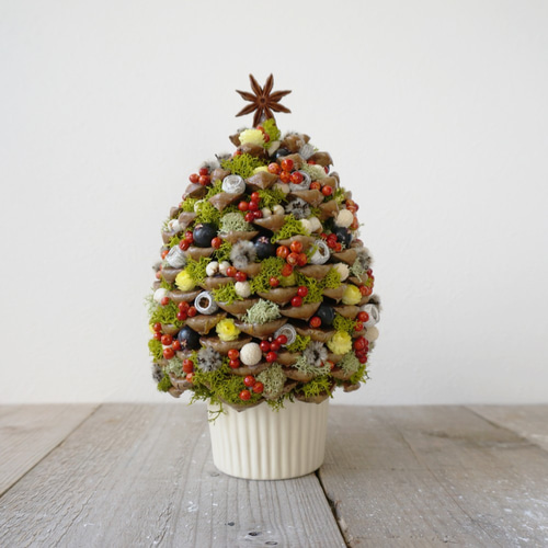 out ゆき様 ビッグまつぼっくり ✧ クリスマス ツリー✧ 売却済】大きな 松ぼっくり の クリスマス ツリー （アイスランドモス