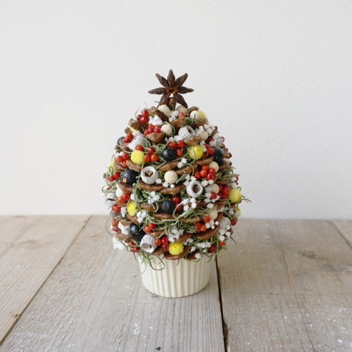 【超大型❗️早い者勝ち‼️】10年物　ボトルツリー　陶器鉢付き ボトルツリー（大きなサイズ）インテリア用 超大型】10年物 ボトル