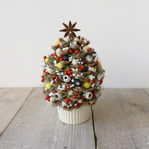 大きな 松ぼっくり の クリスマス ツリー （スパニッシュモス） ドライ