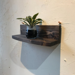 お買い得！壁掛けミニシェルフ3個セット・ウォールナット色