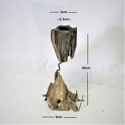 エアプランツホルダ 流木(浮遊木)　(NAP-90) 3枚目の画像