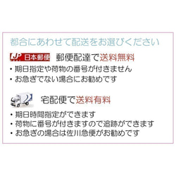 髪飾り 胡蝶蘭 9輪 小菊 タッセル 結婚式 成人式 前撮り 結婚式 浴衣 振袖袴 K_0278 8枚目の画像