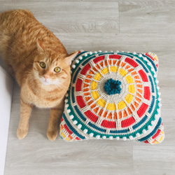 家庭用枕のための30かぎ針編みの厚い編まれた正方形の虹の枕 4枚目の画像