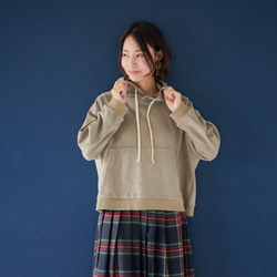 Morino Gakkou Cotton 100 Tent Line Sweatshirt [Gray Beige] / 124 第6張的照片
