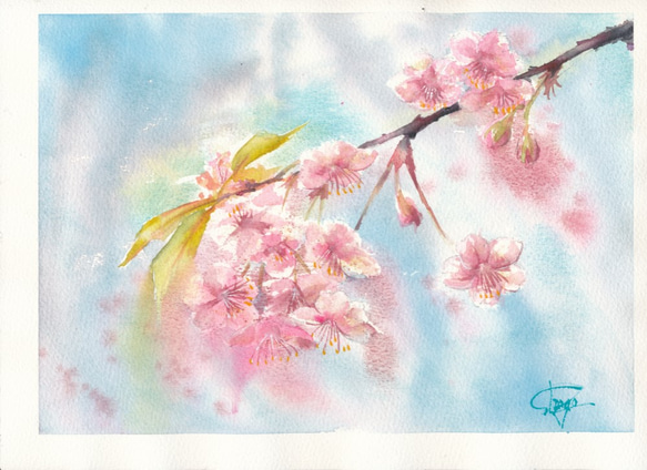 SAKURA 桜　春　水彩画　手描き　原画 1枚目の画像