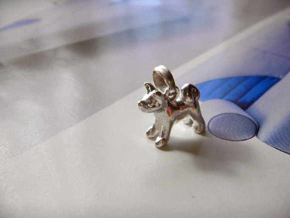 秋田犬 2枚目の画像