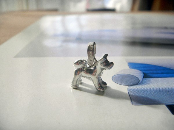 秋田犬 3枚目の画像