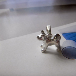 秋田犬 4枚目の画像