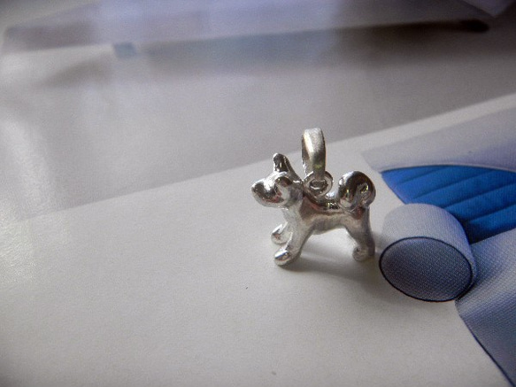 秋田犬 4枚目の画像