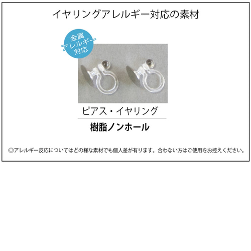 花火様♡専用ページ〔ネジバネイヤリング〕 花火様♡専用ページ〔ネジバネイヤリング〕