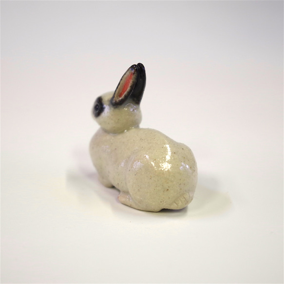 彩色兔筷子休息黑色和白色 第2張的照片