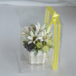 フランネルフラワーとスカビオサのナチュラルアレンジ　アーティフィシャルフラワー 6枚目の画像