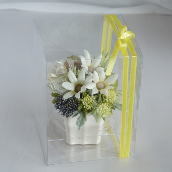 フランネルフラワーとスカビオサのナチュラルアレンジ　アーティフィシャルフラワー 6枚目の画像