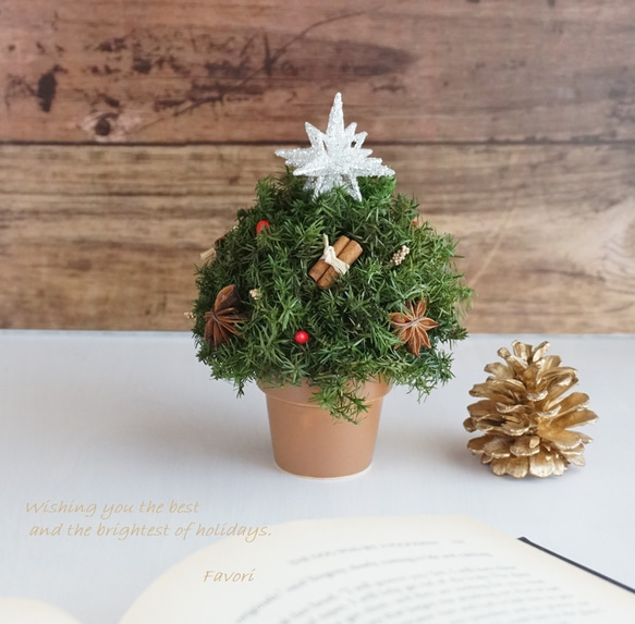 【再販】コロンとしたミニクリスマスツリー　ヒムロスギ　八角　プリザーブドフラワー　アーティフィシャルフ 1枚目の画像