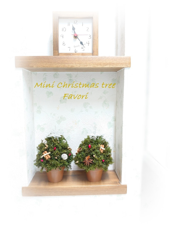 【再販】コロンとしたミニクリスマスツリー　ヒムロスギ　八角　プリザーブドフラワー　アーティフィシャルフ 6枚目の画像