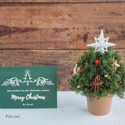 【再販】コロンとしたミニクリスマスツリー　ヒムロスギ　八角　プリザーブドフラワー　アーティフィシャルフ 8枚目の画像