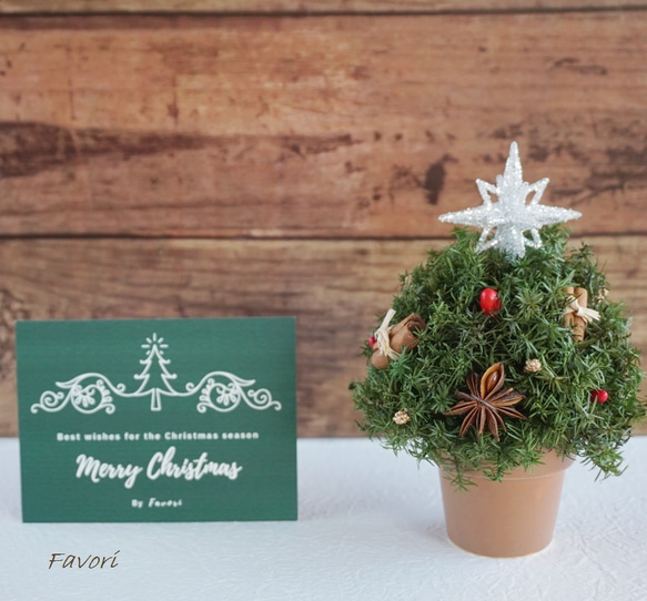 【再販】コロンとしたミニクリスマスツリー　ヒムロスギ　八角　プリザーブドフラワー　アーティフィシャルフ 8枚目の画像