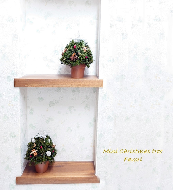 【再販】コロンとしたミニクリスマスツリー　ヒムロスギ　八角　プリザーブドフラワー　アーティフィシャルフ 9枚目の画像