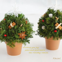 【再販】コロンとしたミニクリスマスツリー　ヒムロスギ　八角　プリザーブドフラワー　アーティフィシャルフ 7枚目の画像