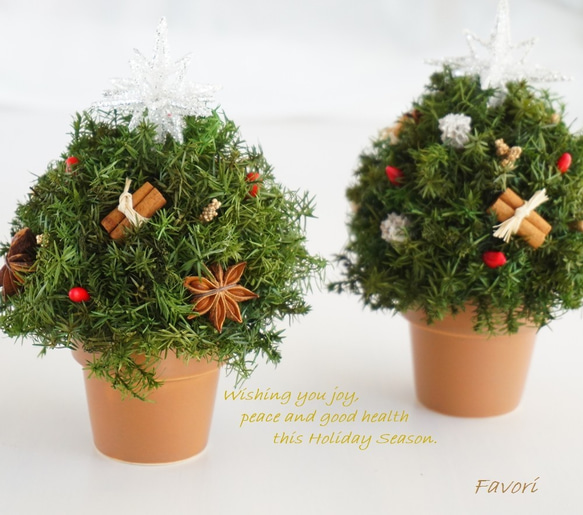 【再販】コロンとしたミニクリスマスツリー　ヒムロスギ　八角　プリザーブドフラワー　アーティフィシャルフ 7枚目の画像