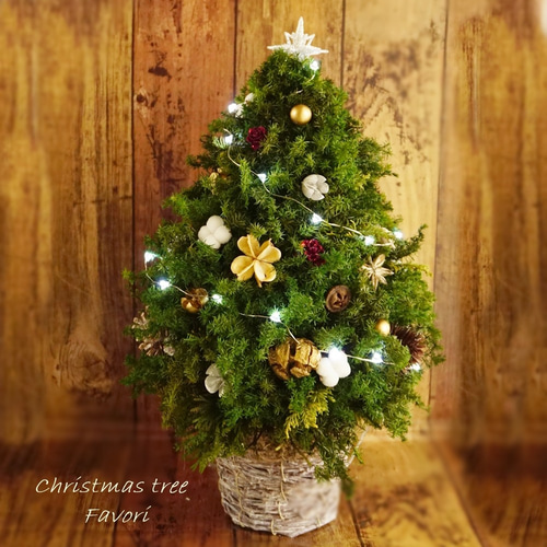 香りに癒されるヒムロスギとヒバのクリスマスツリー プリザーブド