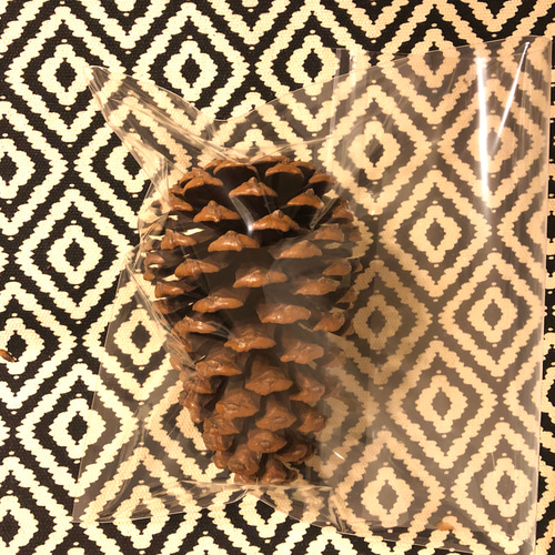 松ぼっくり 特大サイズ 素材 1個−3個購入はこちら その他素材 Sunku