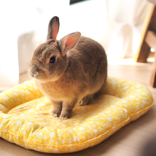 うさぎさん用 ゴロンちょマット・イエローガーデン(クッション、ペット