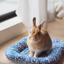 うさぎ用 ゴロンちょマット・Milky rabbit(クッション、ベッド) 6枚目の画像