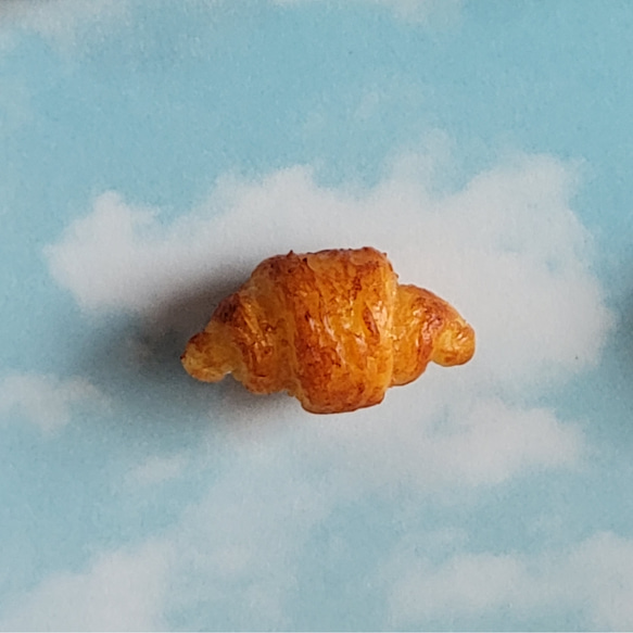  第10張的照片