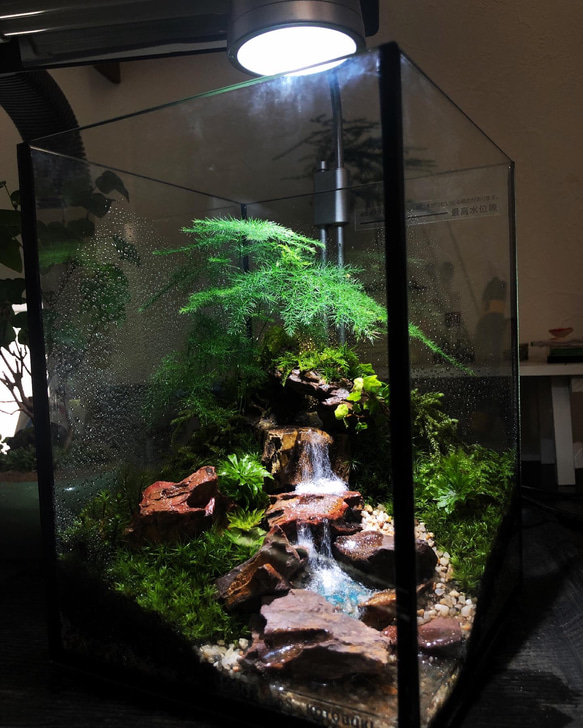 苔テラリウムオーダーメイド【特大】プレゼントにもオススメ