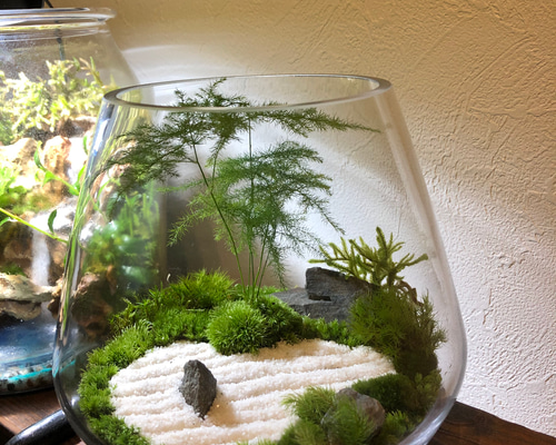 1_a4bacc773609db5d747b29a30bf2