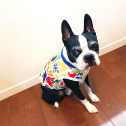 【再販】 カラフル☆アニマルズ柄 タンクトップ❤︎リブカラー選択可 ドッグウェア　犬服 1枚目の画像
