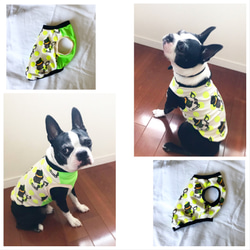 【再販】ボストンテリア・フレブル柄 Mr.BT ❤︎ タンクトップ ドッグウェア　犬服 6枚目の画像