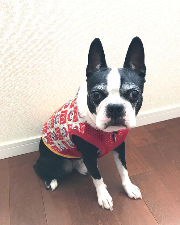 【再販】ファストmフード柄 ❤︎ サマーメッシュタイプ タンクトップ ドッグウェア　犬服 4枚目の画像