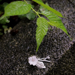 植物観察シリーズ | 散る桜のかんざし 3枚目の画像