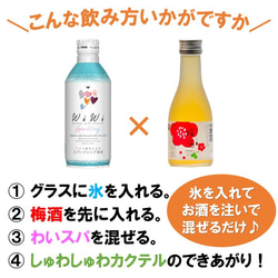 ワイン酵母仕込スパークリング日本酒 日本酒梅酒 飲み比べセット ミニ 2本 甘口 お酒 新潟 高野酒造 3枚目の画像