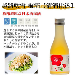 ワイン酵母仕込スパークリング日本酒 日本酒梅酒 飲み比べセット ミニ 2本 甘口 お酒 新潟 高野酒造 5枚目の画像