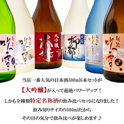 日本酒 飲み比べセット 大吟醸 入り 300ml 6本 小瓶 ミニボトル お酒 新潟 高野酒造 2枚目の画像