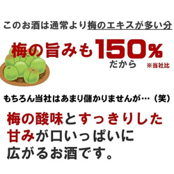 梅酒 日本酒仕込み 越路吹雪 180ml 1合瓶 お酒 日本酒梅酒 新潟 高野酒造 2枚目の画像