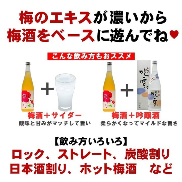 梅酒 日本酒仕込み 越路吹雪 180ml 1合瓶 お酒 日本酒梅酒 新潟 高野酒造 3枚目の画像