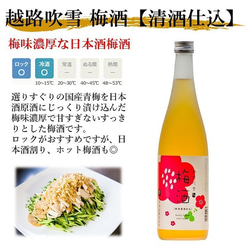 梅酒 日本酒仕込み 越路吹雪 1800ml 一升瓶 日本酒梅酒 お酒 新潟 高野酒造 4枚目の画像