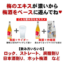 梅酒 日本酒仕込み 越路吹雪 1800ml 一升瓶 日本酒梅酒 お酒 新潟 高野酒造 3枚目の画像