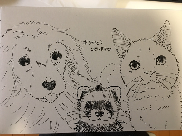 ペットの似顔絵 A5サイズ 3枚目の画像